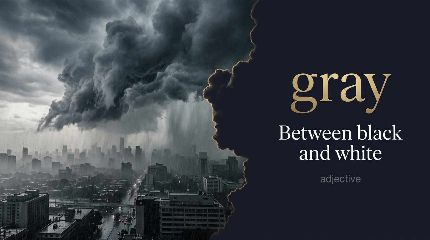 Gray (الرمادي) — illustrated meaning of the English word Gray on GL Dictionary
