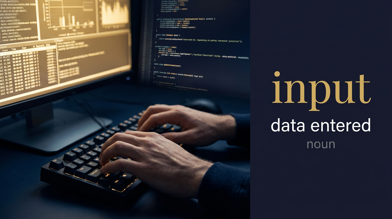صورة توضيحية لمعنى كلمة Input (المُدخلات والبيانات)